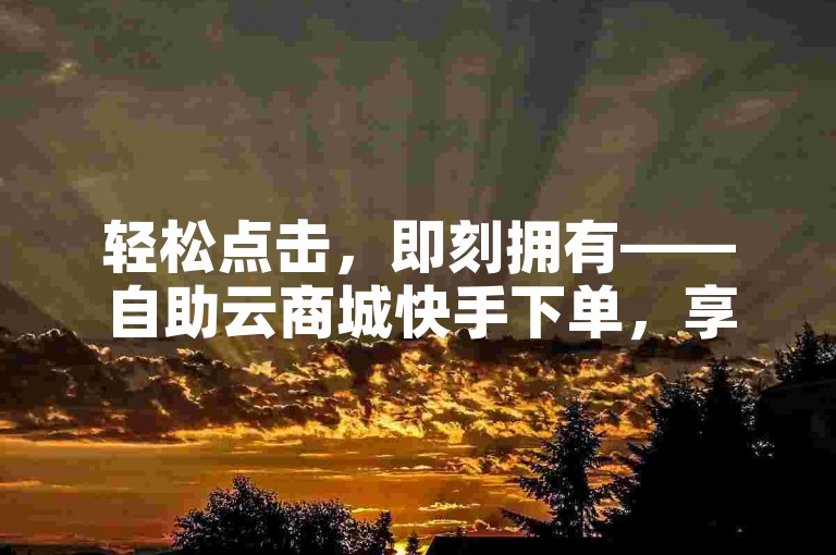 轻松点击，即刻拥有——自助云商城快手下单，享受无忧便捷购物之旅！