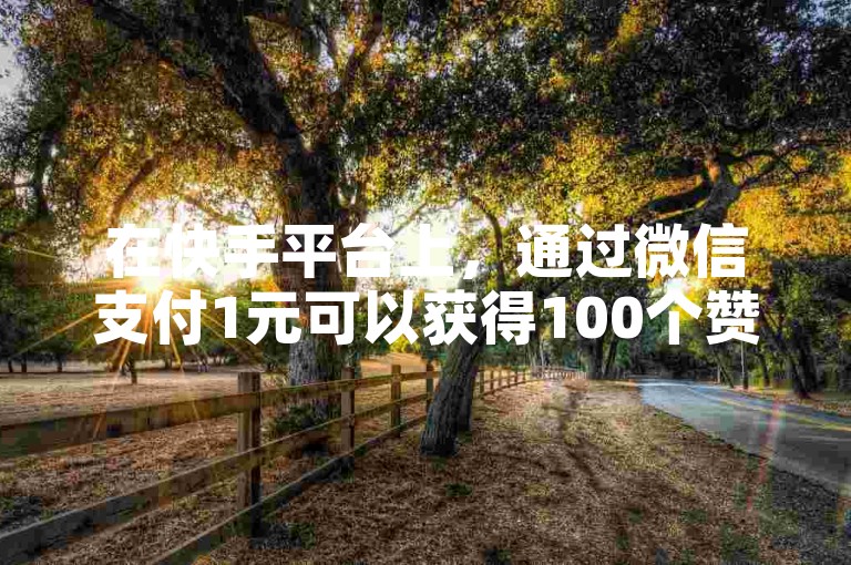 在快手平台上，通过微信支付1元可以获得100个赞。