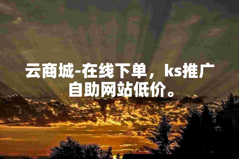 云商城-在线下单，ks推广自助网站低价。