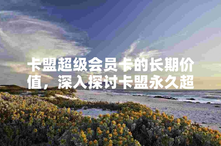 卡盟超级会员卡的长期价值，深入探讨卡盟永久超级会员卡的特点及其带来的益处。