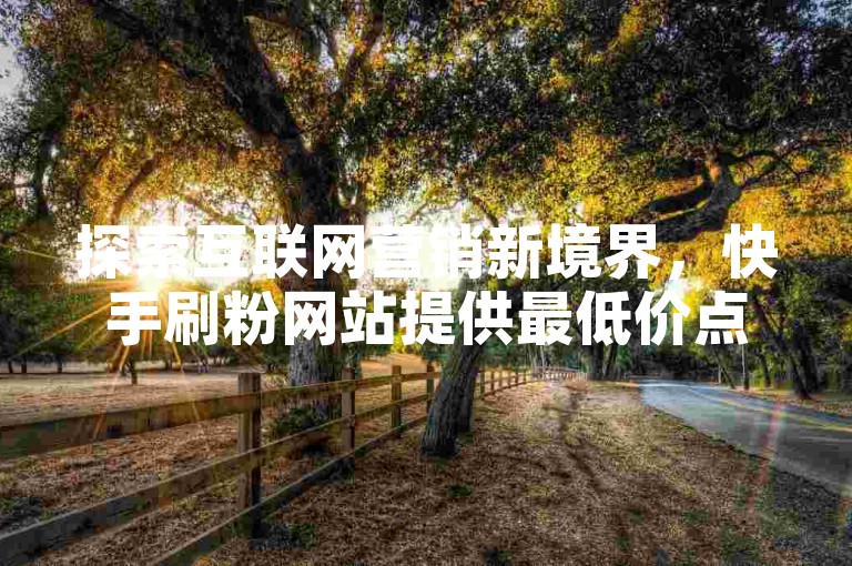 探索互联网营销新境界，快手刷粉网站提供最低价点赞下单服务，助力账号快速成长。