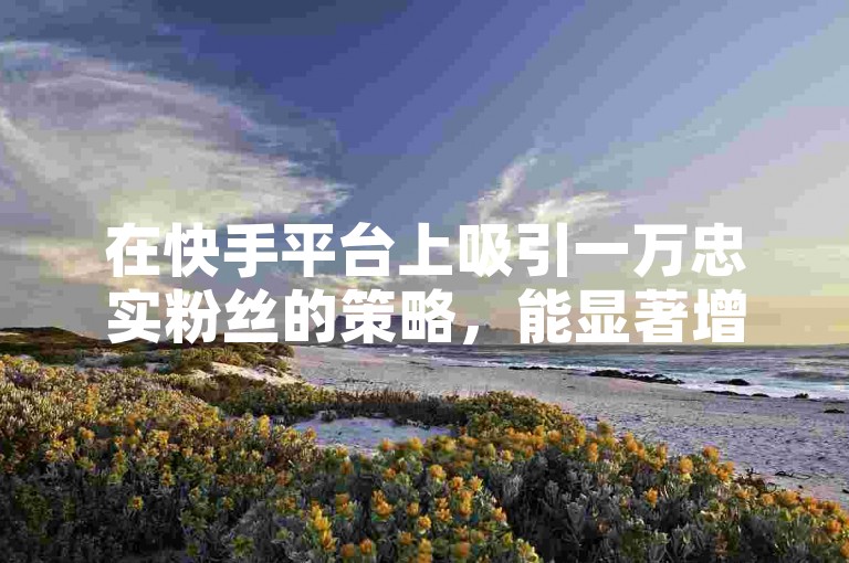 在快手平台上吸引一万忠实粉丝的策略，能显著增强你的社交影响力和内容可见度！