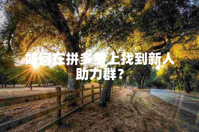 如何在拼多多上找到新人助力群？