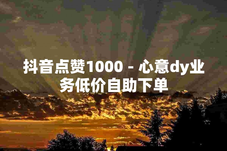 抖音点赞1000 - 心意dy业务低价自助下单