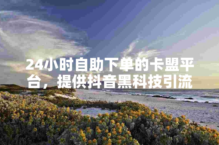 24小时自助下单的卡盟平台，提供抖音黑科技引流软件服务。