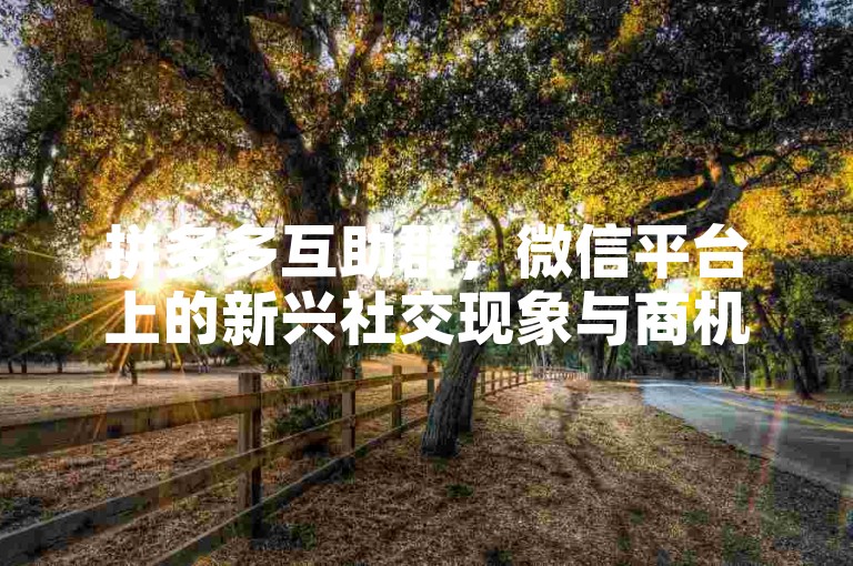 拼多多互助群，微信平台上的新兴社交现象与商机。