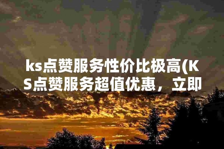 ks点赞服务性价比极高(KS点赞服务超值优惠，立即抢购最明智之选！)