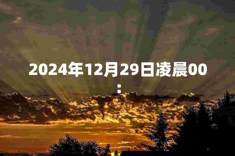 2024年12月29日凌晨00:55分，一个提供1元换取100赞服务的自助下单网站。