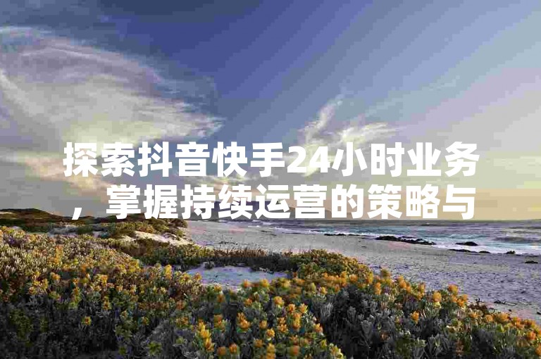 探索抖音快手24小时业务，掌握持续运营的策略与技巧。