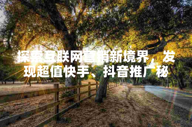 探索互联网营销新境界，发现超值快手、抖音推广秘籍，尽在我们的创新业务平台，立即体验科技带来的流量奇迹！