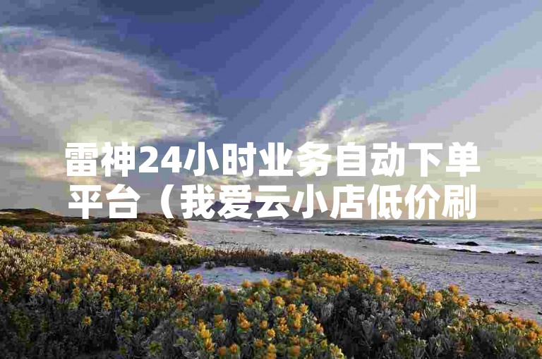雷神24小时业务自动下单平台（我爱云小店低价刷）是一个提供全天候在线服务的电子商务网站，专注于为用户提供便捷、高效的购物体验。