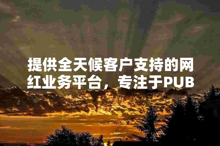 提供全天候客户支持的网红业务平台，专注于PUBG游戏辅助服务，其中包括仅需一元即可获得100个KS买站优惠，以及一个方便用户随时免费下单的24小时快手服务平台。