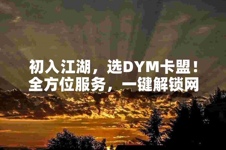初入江湖，选DYM卡盟！全方位服务，一键解锁网赚新世界。