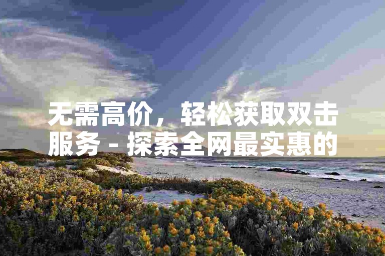 无需高价，轻松获取双击服务 - 探索全网最实惠的自助下单平台。