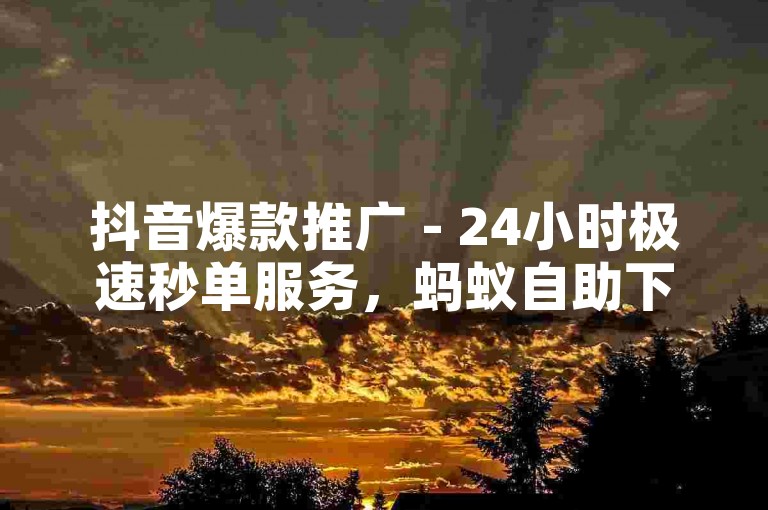 抖音爆款推广 - 24小时极速秒单服务，蚂蚁自助下单官网优惠来袭。