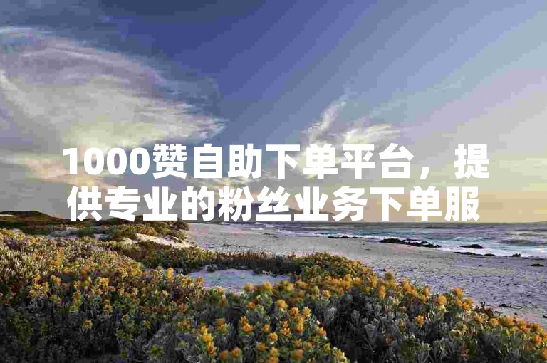 1000赞自助下单平台，提供专业的粉丝业务下单服务。