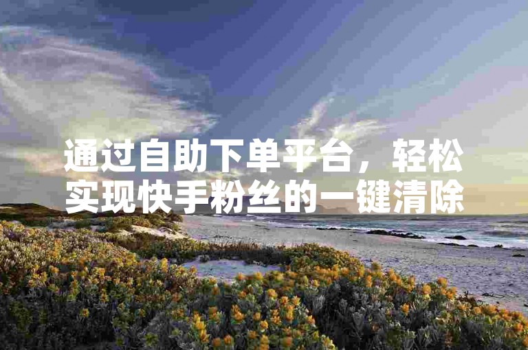 通过自助下单平台，轻松实现快手粉丝的一键清除服务。