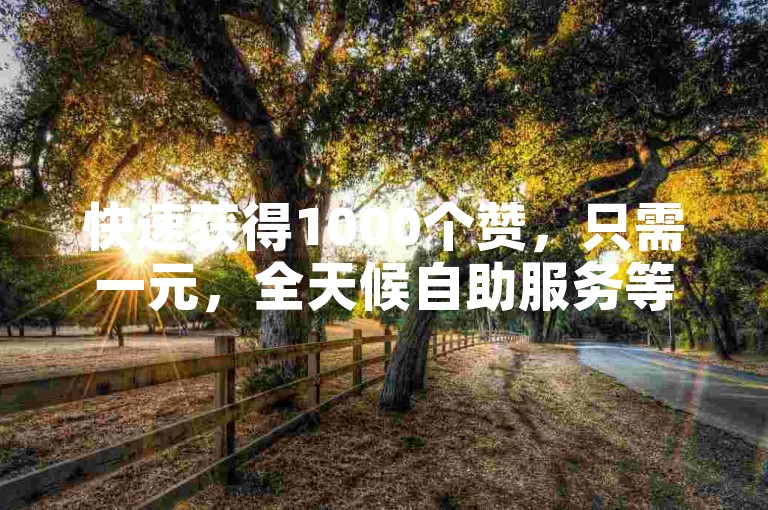 快速获得1000个赞，只需一元，全天候自助服务等你来体验。