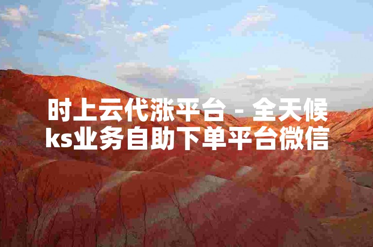 时上云代涨平台 - 全天候ks业务自助下单平台微信支付
