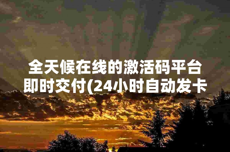 全天候在线的激活码平台即时交付(24小时自动发卡服务)