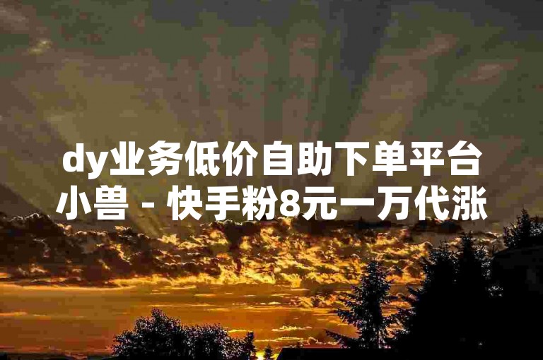 dy业务低价自助下单平台小兽 - 快手粉8元一万代涨，提供快速、安全的服务。