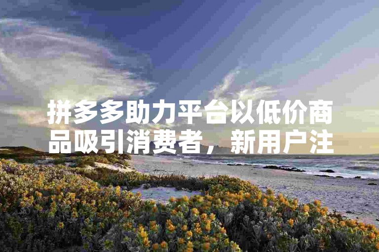 拼多多助力平台以低价商品吸引消费者，新用户注册即享免费优惠。
