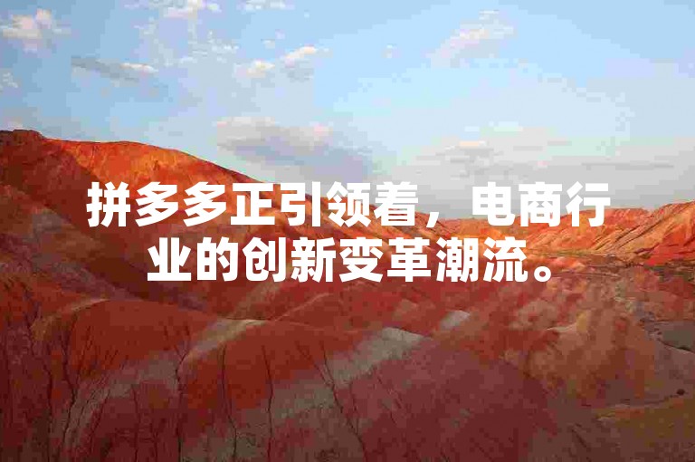 拼多多正引领着，电商行业的创新变革潮流。