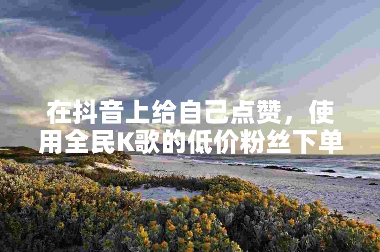 在抖音上给自己点赞，使用全民K歌的低价粉丝下单服务，并通过QQ点赞助手来增加名片的点赞数。