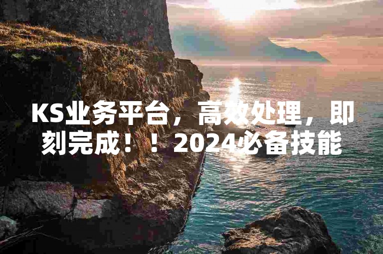 KS业务平台，高效处理，即刻完成！！2024必备技能。