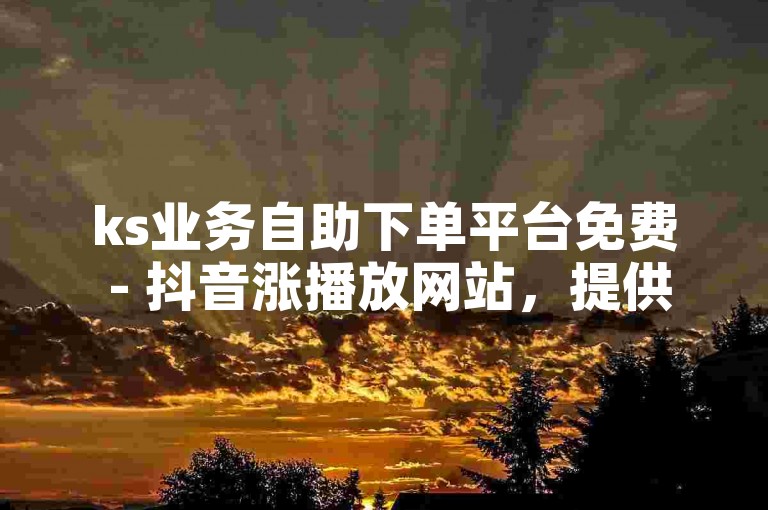 ks业务自助下单平台免费 - 抖音涨播放网站，提供便捷的服务。