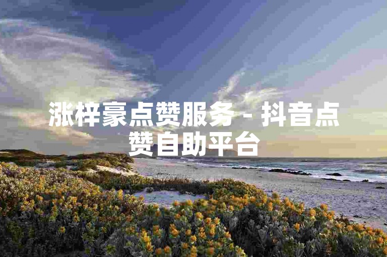 涨梓豪点赞服务 - 抖音点赞自助平台