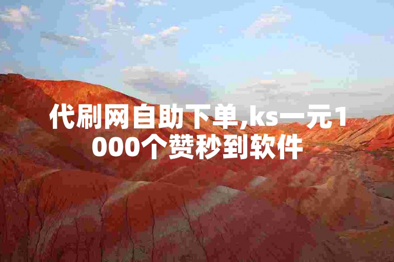 代刷网自助下单,ks一元1000个赞秒到软件