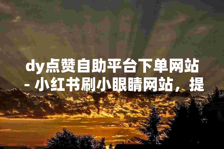 dy点赞自助平台下单网站 - 小红书刷小眼睛网站，提供便捷的服务。