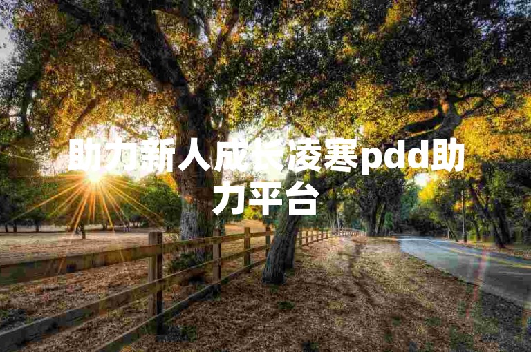 助力新人成长凌寒pdd助力平台
