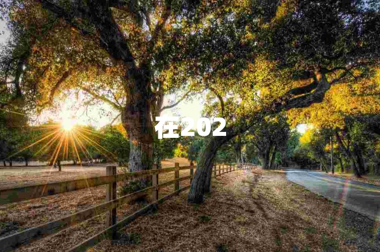 在2025年，拼多多将推出一系列全新的助力好友活动，让社交互动更加有趣。