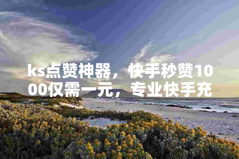 ks点赞神器，快手秒赞1000仅需一元，专业快手充赞平台，快手赞在线购买。