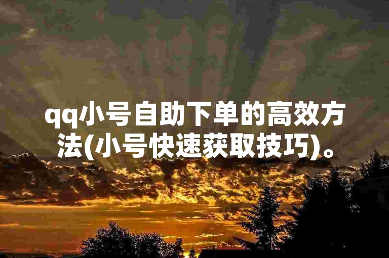 qq小号自助下单的高效方法(小号快速获取技巧)。