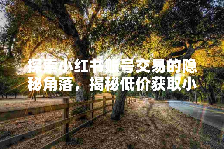 探索小红书账号交易的隐秘角落，揭秘低价获取小红书账号的神秘平台！2025年必备知识。