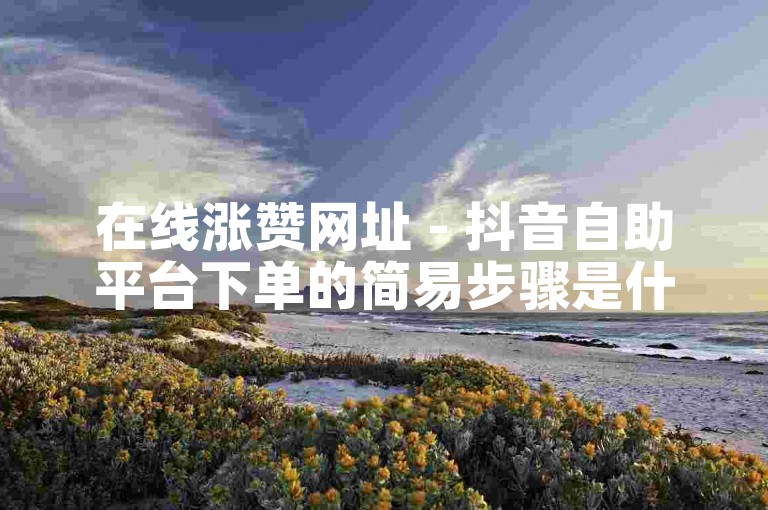 在线涨赞网址 - 抖音自助平台下单的简易步骤是什么？