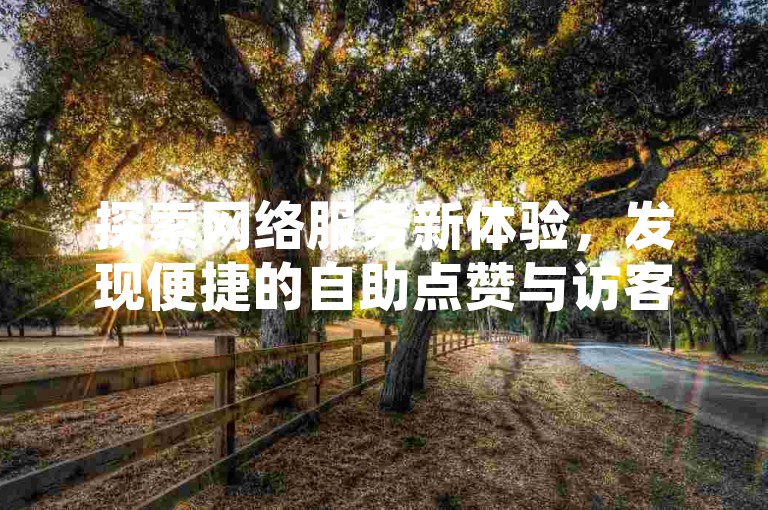 探索网络服务新体验，发现便捷的自助点赞与访客增长解决方案。