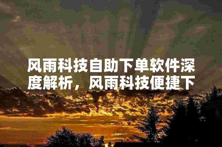 风雨科技自助下单软件深度解析，风雨科技便捷下单软件，让您的购物体验更加轻松愉快！2025必备技能。