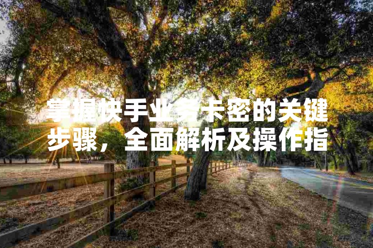 掌握快手业务卡密的关键步骤，全面解析及操作指南，新手入门必读！