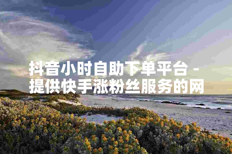 抖音小时自助下单平台 - 提供快手涨粉丝服务的网站。