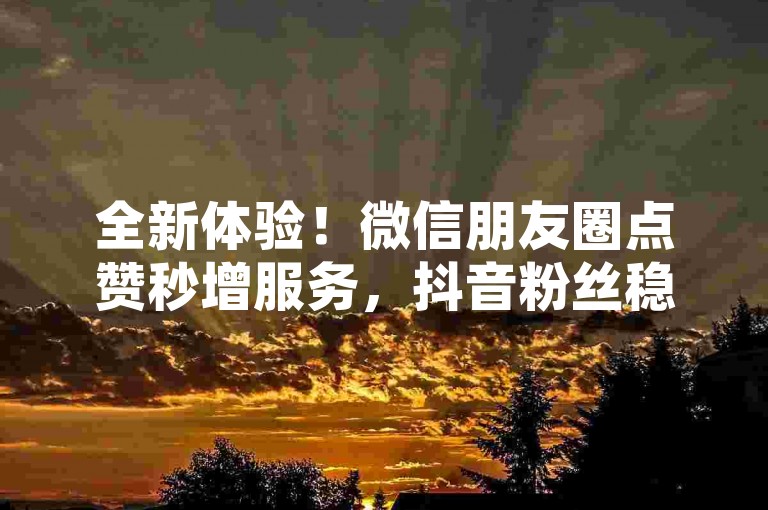 全新体验！微信朋友圈点赞秒增服务，抖音粉丝稳步上升 - 星辉网络全天候订单指南 - 抖音实时互动增强平台