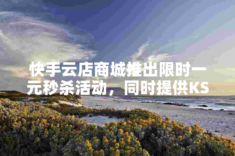 快手云店商城推出限时一元秒杀活动，同时提供KS业务专区和抖音业务平台的24小时自助评论服务，让热血激情随时重燃！