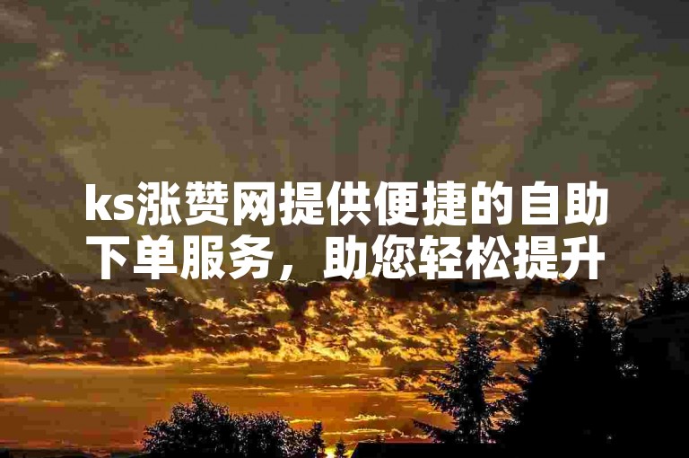 ks涨赞网提供便捷的自助下单服务，助您轻松提升社交媒体影响力。