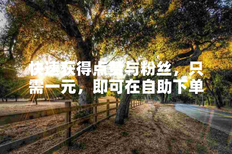 快速获得点赞与粉丝，只需一元，即可在自助下单网站轻松实现。