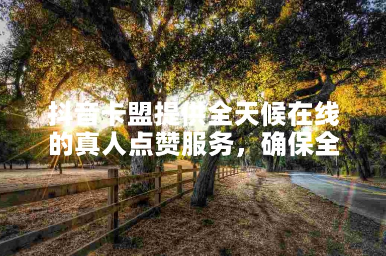抖音卡盟提供全天候在线的真人点赞服务，确保全网最低价且稳定性强。