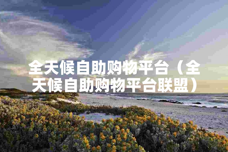 全天候自助购物平台（全天候自助购物平台联盟）