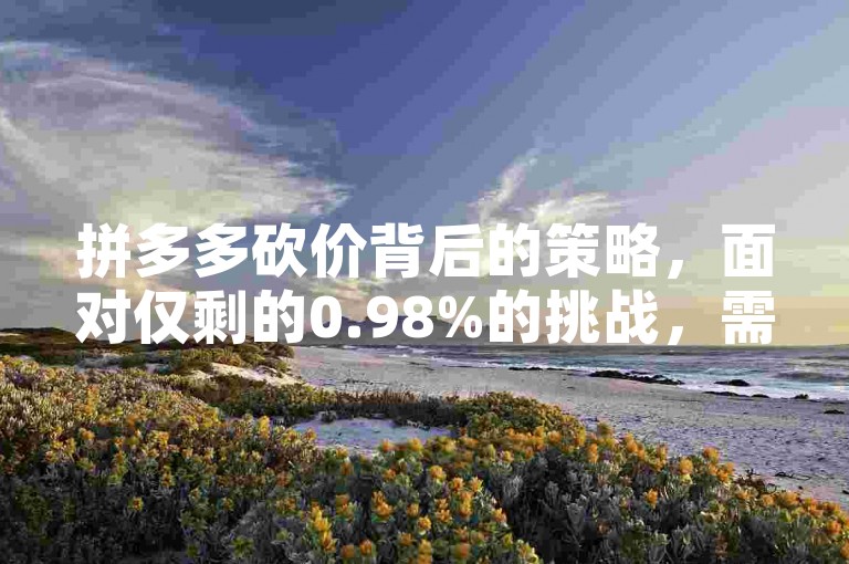 拼多多砍价背后的策略，面对仅剩的0.98%的挑战，需要我们运用智慧和技巧来应对。